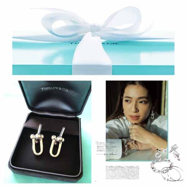 ティファニー HARDWEARリンクピアス 偽物*スターリングシルバー*スモール 21070809