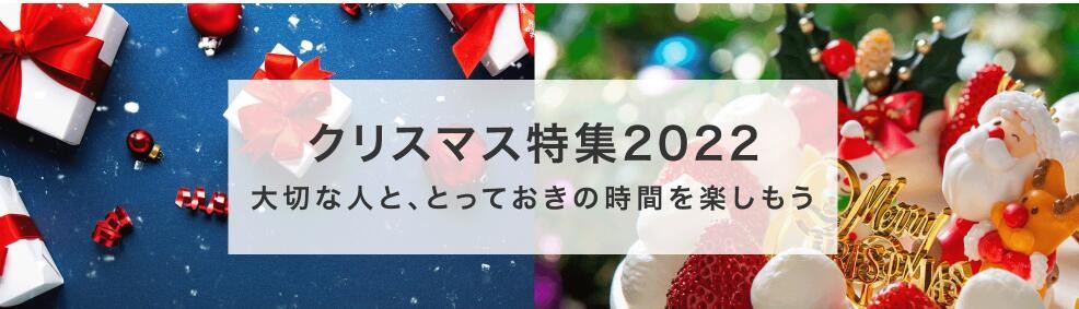 クリスマス 2022 プレゼント【Bibicopy】