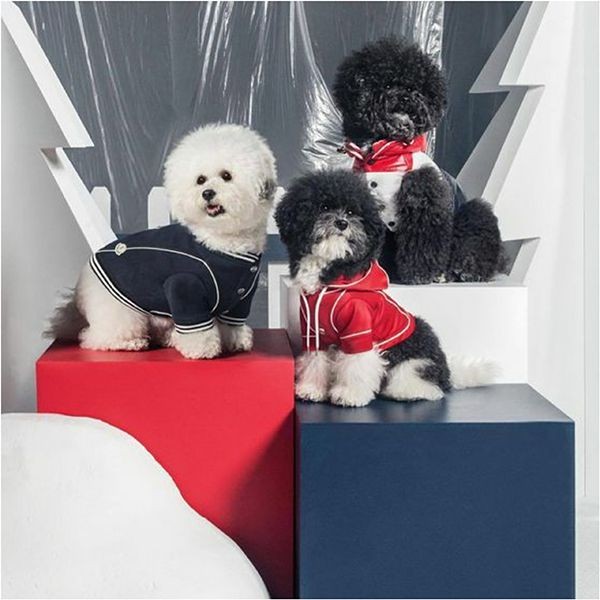 人気で可愛い☆モンクレール ペット用ウェア ドッグパーカー 偽物mc10121