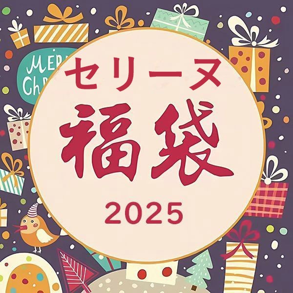 セリーヌ 福袋 2025 バッグ・服・財布 豪華3点セット