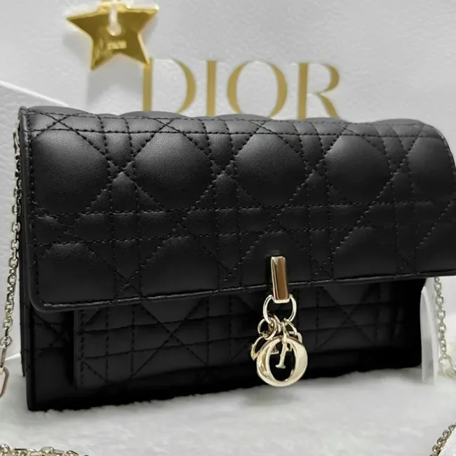 ディオール デイリーチェーンポーチ S0937ONMJ_M900
