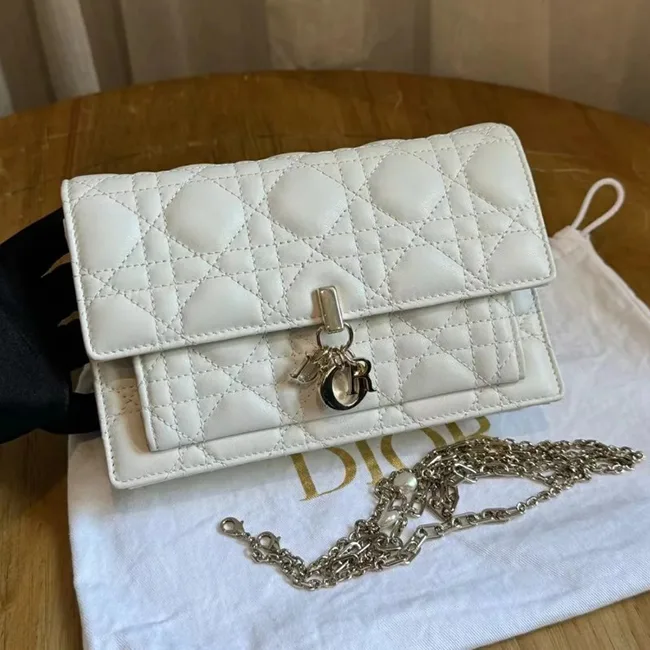 ディオール デイリーチェーンポーチ S0937ONMJ_M900