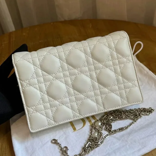 ディオール デイリーチェーンポーチ S0937ONMJ_M900