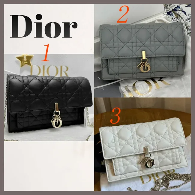 ディオール デイリーチェーンポーチ S0937ONMJ_M900