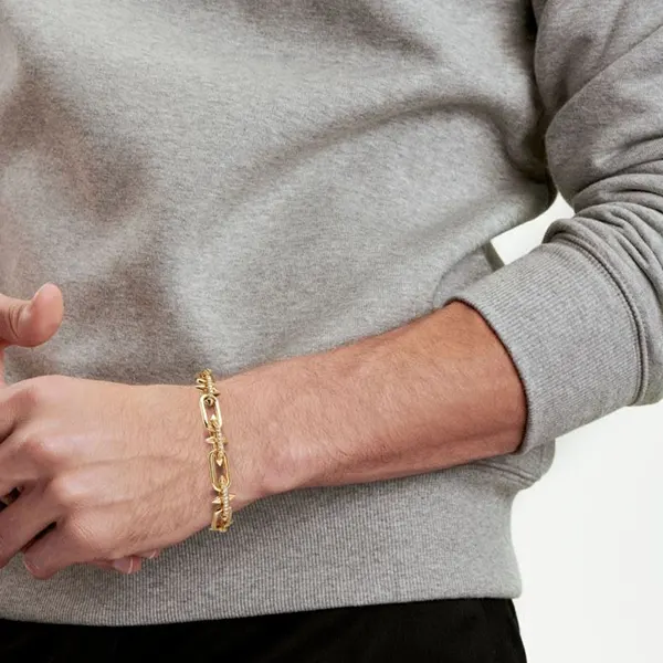 三吉彩花 愛用 ティファニー リンクブレスレットゴールド 73469910