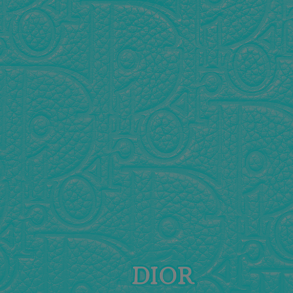 ディオール グラビティ ジップ ウォレット コピー 2ESBC252FLG